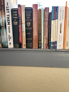 Bookshelf 007