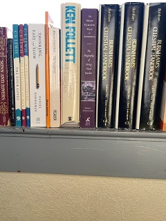 Bookshelf 008