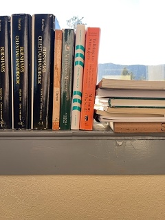 Bookshelf 009